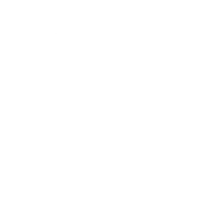 logo dragons
