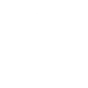 logo someca 2